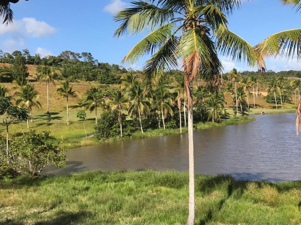 Oka 23 Milagres Villa São Miguel dos Milagres Eksteriør billede